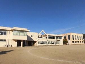 Photo_6